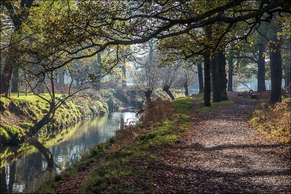 richmond-park-walk-tamsin-trail-royal-parks-walks-london-walks